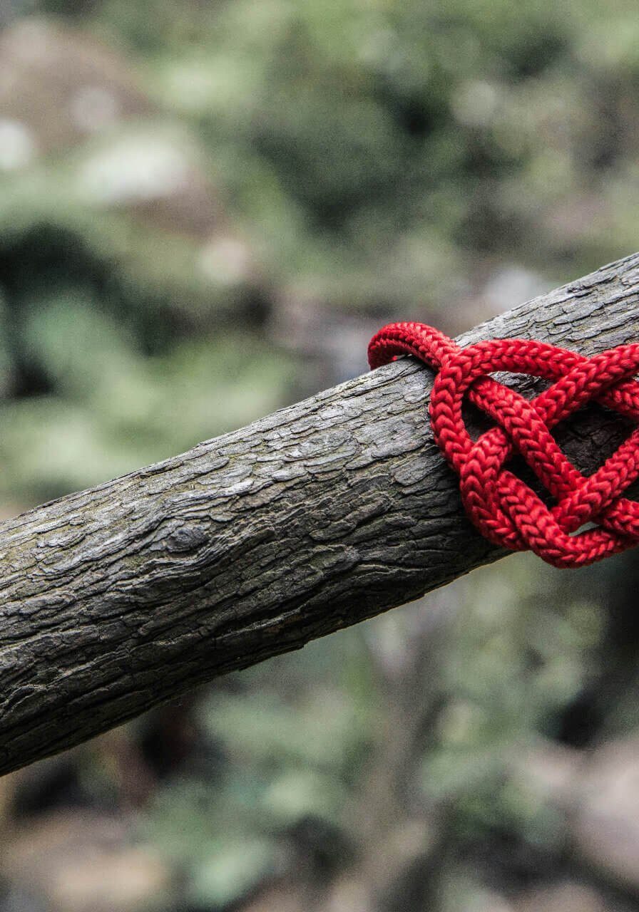 will-o-St4qInZrYC4-unsplash